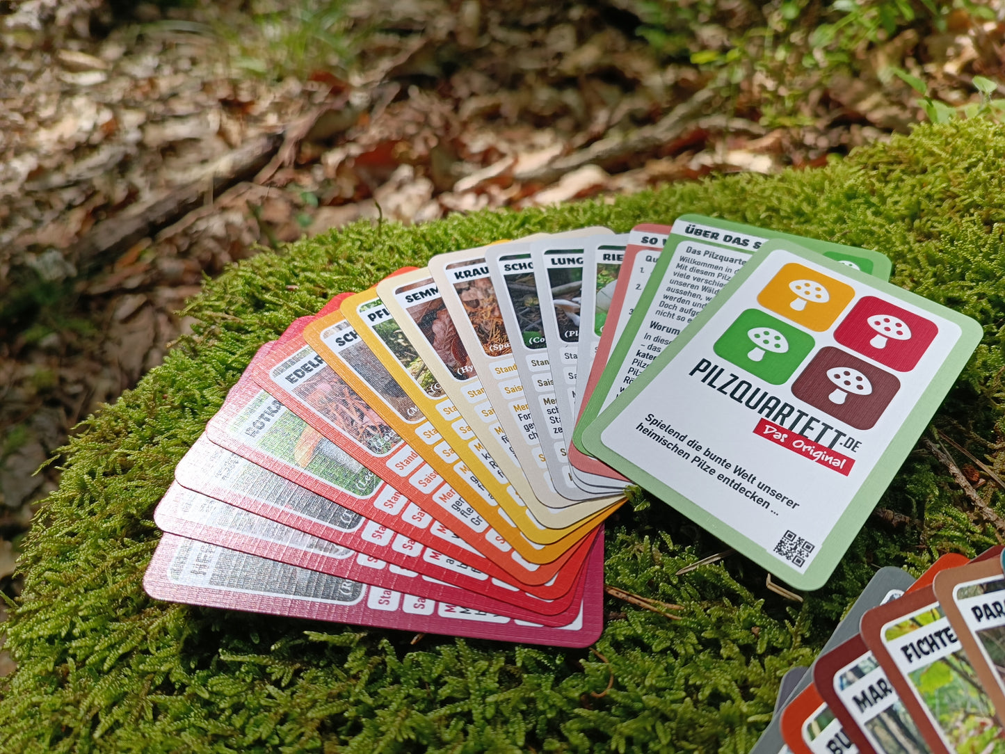 Pilzquartett - Sparset (2 Stück)