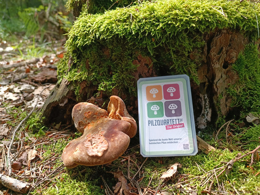 Pilzquartett - Das Kartenspiel für Naturfreunde